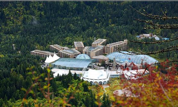 ����鿴����