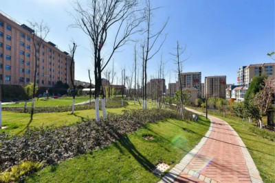 ����鿴����