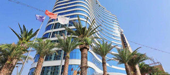 ����鿴����