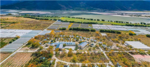 ����鿴����