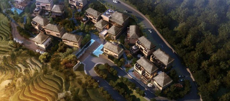 ����鿴����