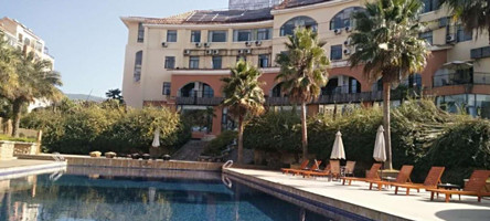 ����鿴����