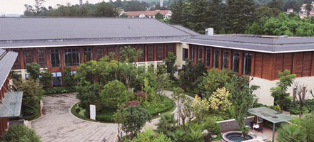 ����鿴����