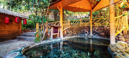 ����鿴����