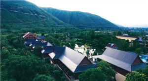 ����鿴����