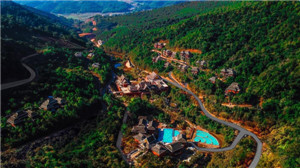 ����鿴����