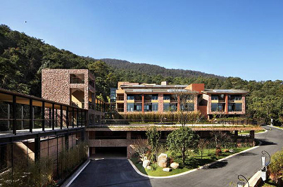 ����鿴����